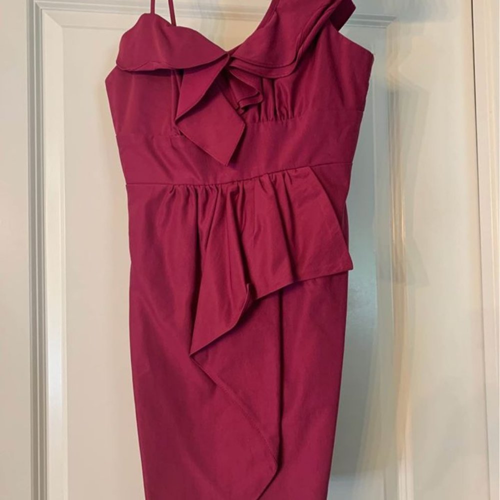 Fuschia Coctail Dress Size XS